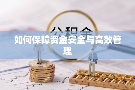 郯城如何保障资金安全与高效管理