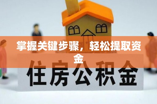 郯城掌握关键步骤，轻松提取资金
