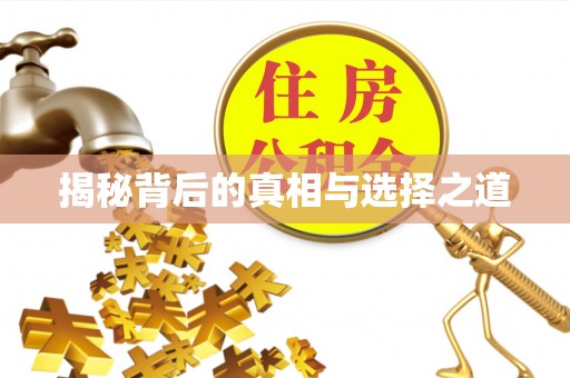郯城揭秘背后的真相与选择之道