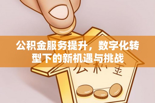 郯城公积金服务提升，数字化转型下的新机遇与挑战