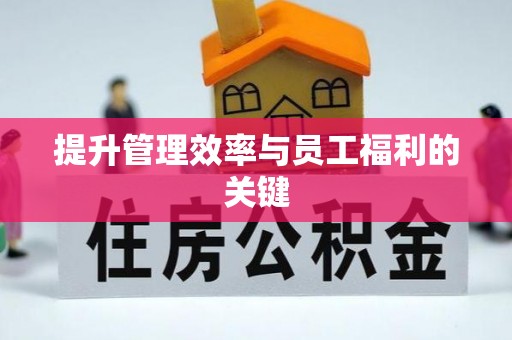 郯城提升管理效率与员工福利的关键