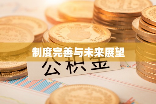 郯城制度完善与未来展望