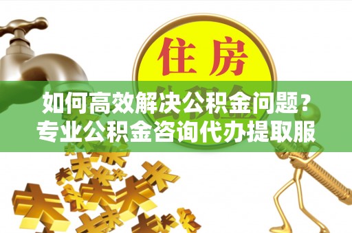 郯城如何高效解决公积金问题？专业公积金咨询代办提取服务来帮你