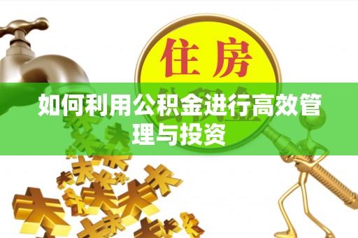 郯城如何利用公积金进行高效管理与投资